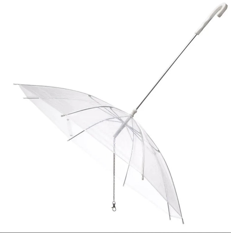 Hundeschirm mit Leine