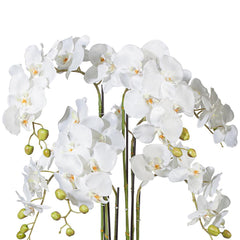 Kunstblume Orchidee