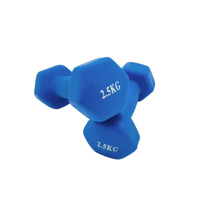 2.5 kg