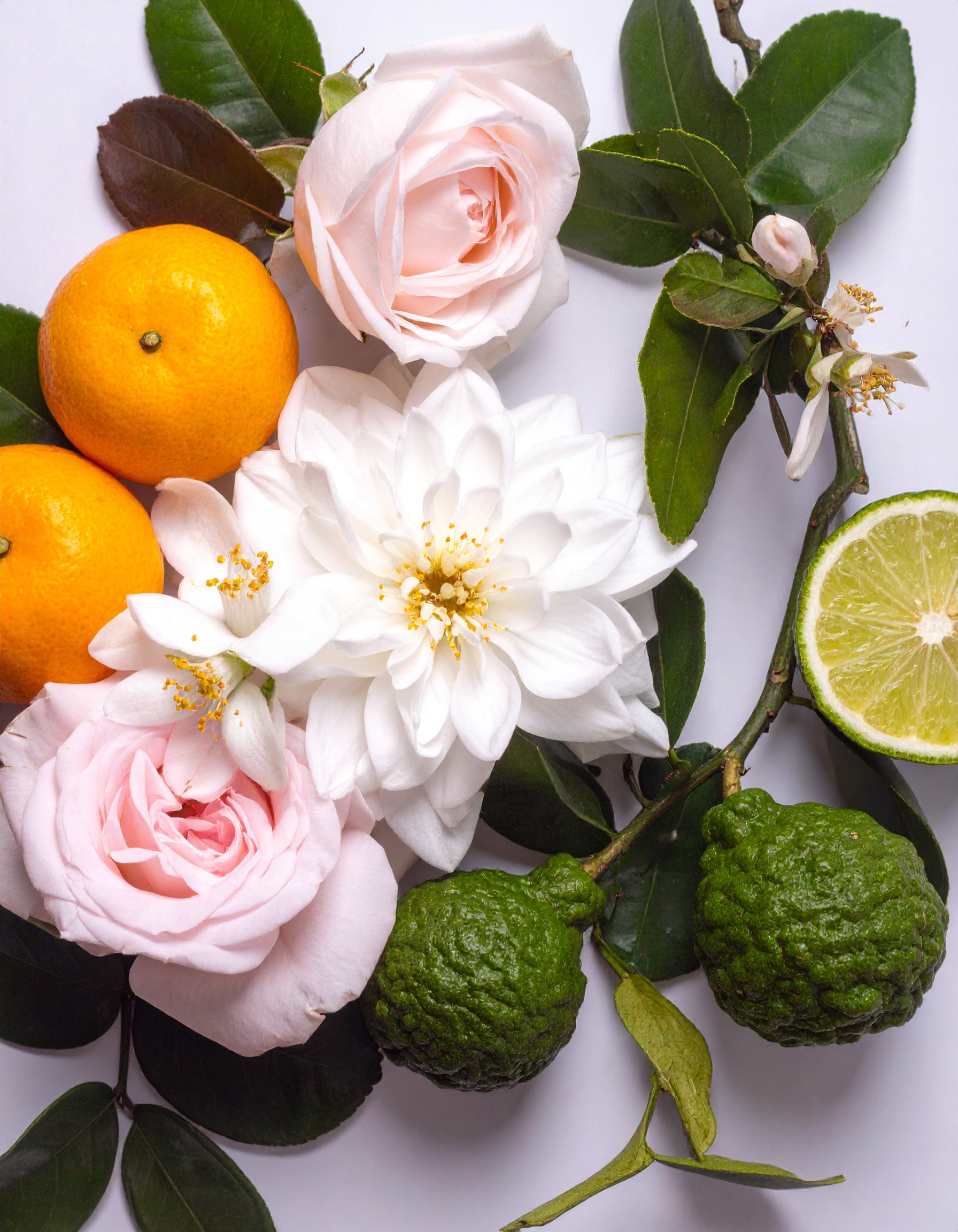 BY VELCHEVA Raumduft Spray - Carolina